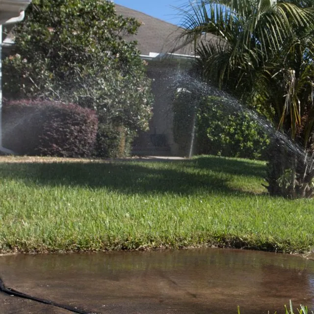 thumbnail for publication: Growing Turfgrass in the Shade